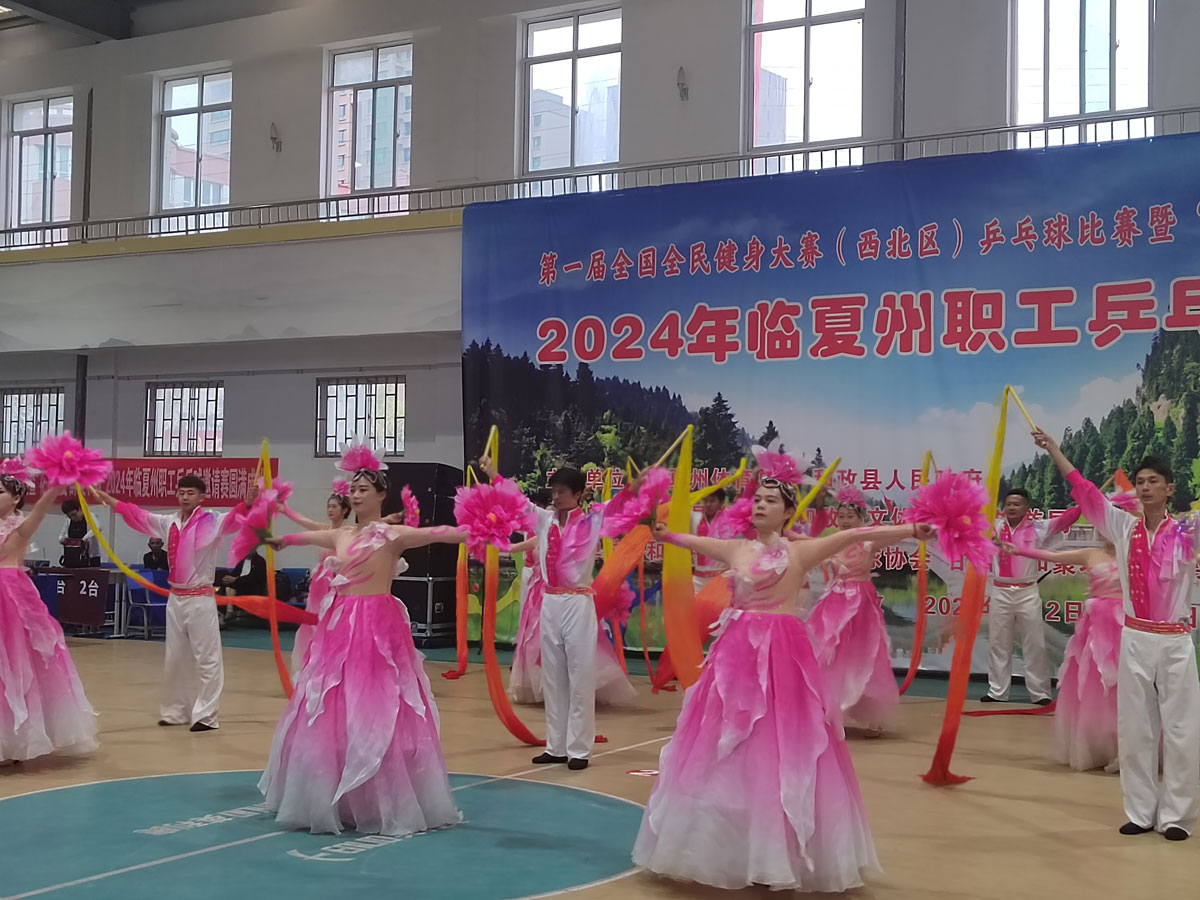 和政县2024年戏曲进乡村--8月2日宁河中学