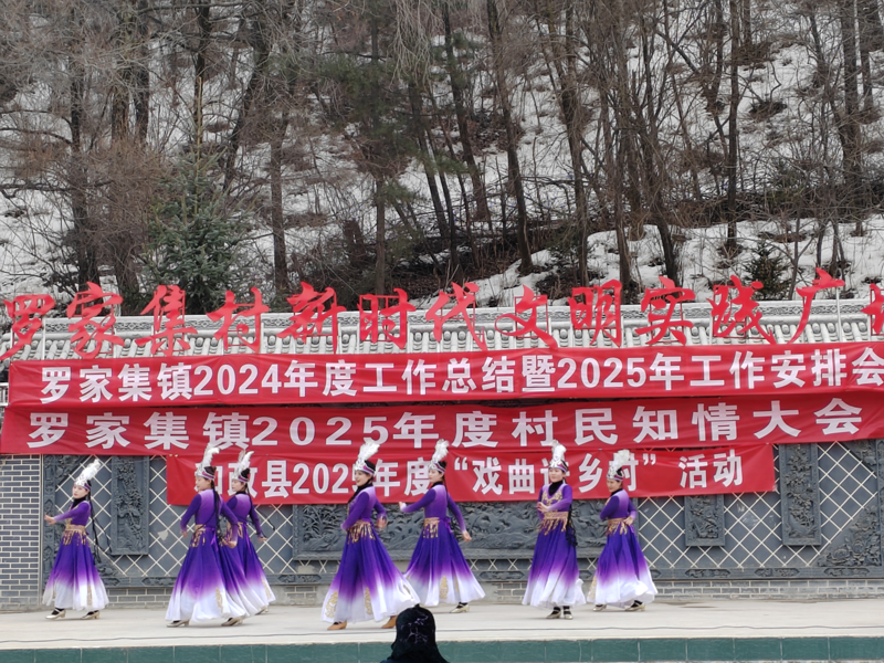 和政县2025年戏曲进乡村--3月10日罗家集镇演出